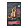 Pro Plan chien grande race peaux et estomacs sensibles