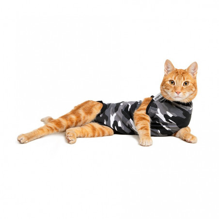 Suitical combinaison de convalescence pour chat