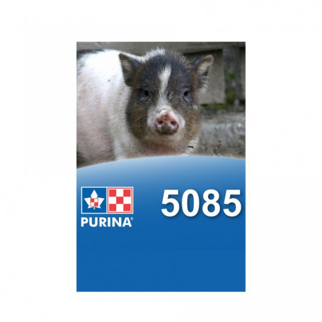 Purina chow mini cochon