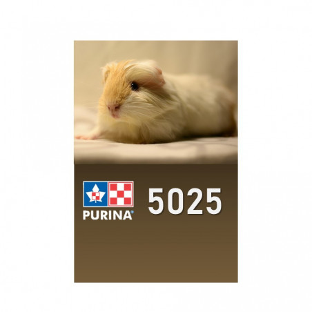 Purina cochon d'inde/cobaye