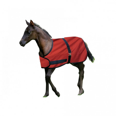 Century couverture poulain 600D/200gr