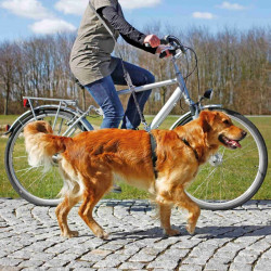 Trixie laisse vélo et jogging