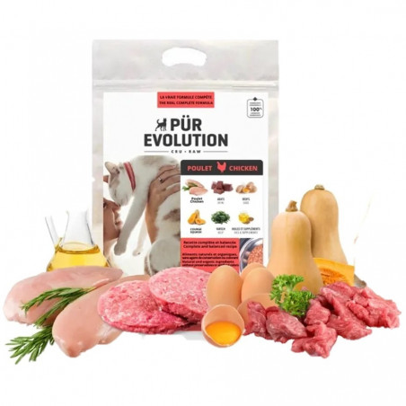 Pür Evolution chat/chaton poulet