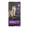 Pro Plan chien agneau et riz petites bouchées 8.16kg