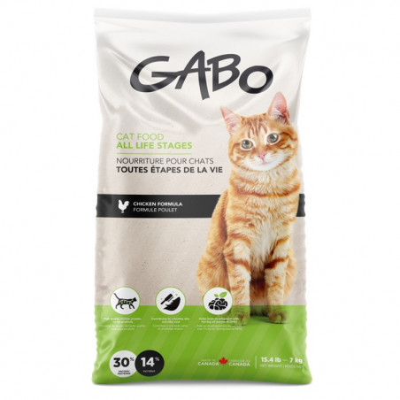 Gabo chat et chaton 7kg