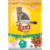 Lara chat intérieur (boules de poil) 2kg