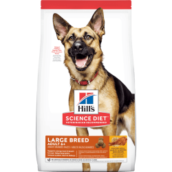 Science Diet chien grande race 6+ poulet et orge