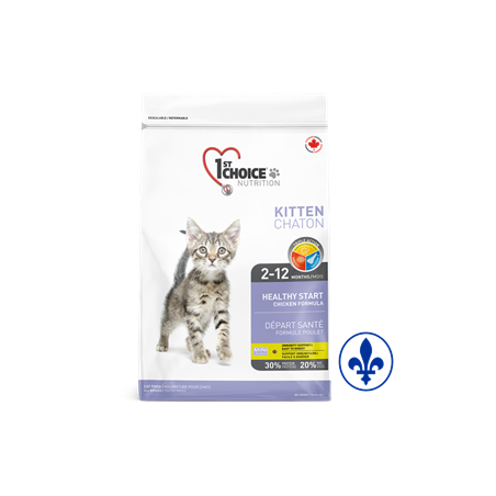 1st Choice chaton