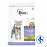 1st Choice chaton