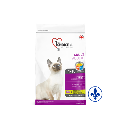1st Choice chat capricieux