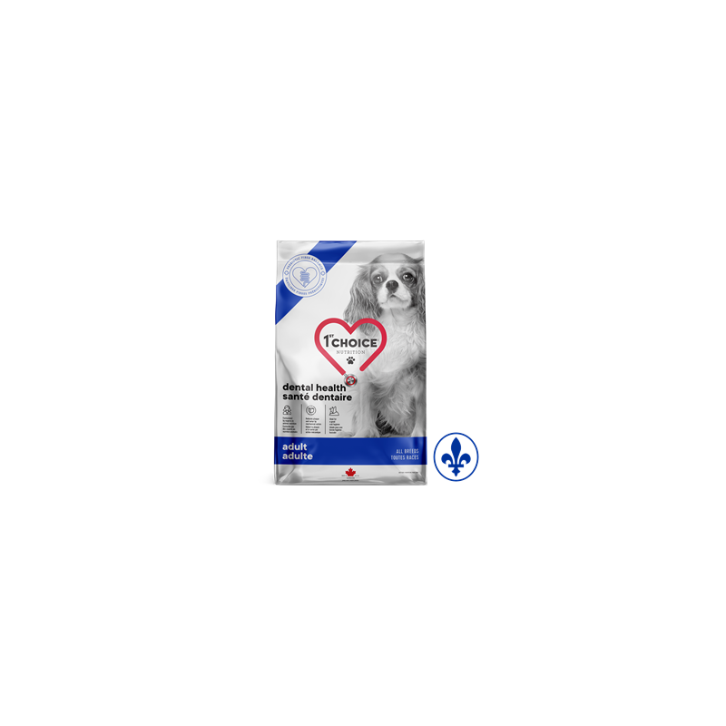 1st Choice chien toutes races santé dentaire