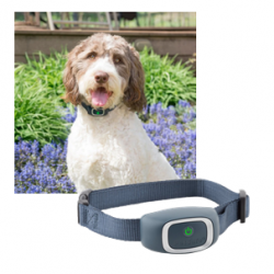 Petsafe collier anti-aboiement électrostatique