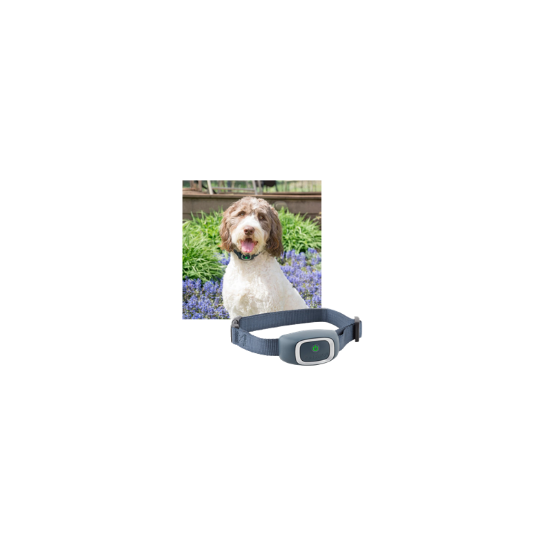 Petsafe collier anti-aboiement électrostatique Petsafe collier anti-aboiement électrostatique