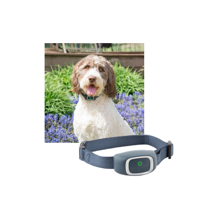 Petsafe collier anti-aboiement électrostatique