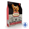Oven-Baked tradition chien agneau petites bouchées
