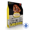 Oven-Baked tradition chien poulet