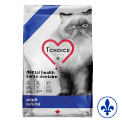 1st Choice chat santé dentaire