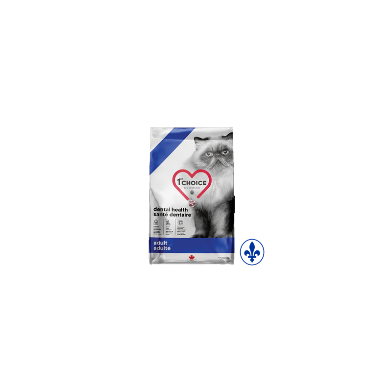 1st Choice chat santé dentaire 1st Choice chat santé dentaire
