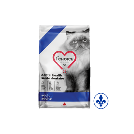 1st Choice chat santé dentaire