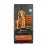 Pro Plan chien bouchée à la viande boeuf et riz
