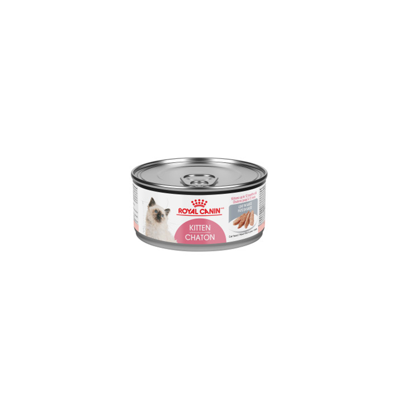 Royal Canin conserve chaton pâté en sauce Royal Canin conserve chaton pâté en sauce