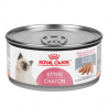 Royal Canin conserve chaton pâté en sauce