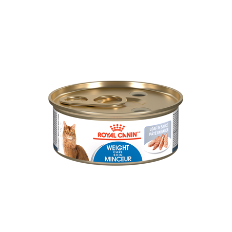 Royal Canin conserve chat soin minceur paté en sauce