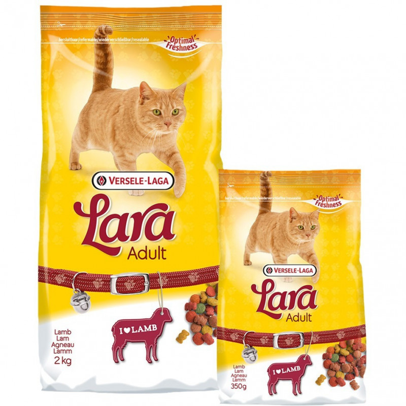 Lara chat à l'agneau Lara chat à l'agneau