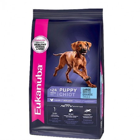 Eukanuba chiot grande race