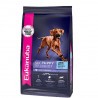 Eukanuba chiot grande race
