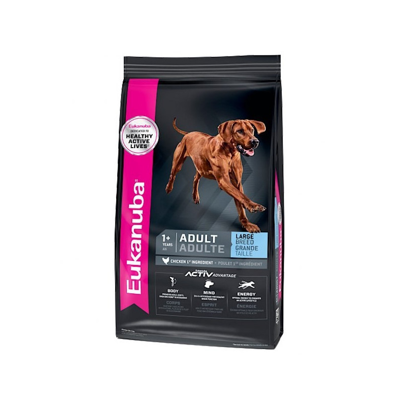 Eukanuba chien grande race Eukanuba chien grande race