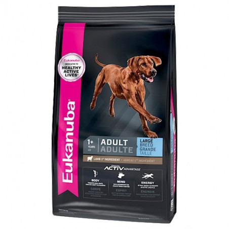 Eukanuba chien grande race à l'agneau
