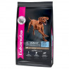 Eukanuba chien grande race à l'agneau