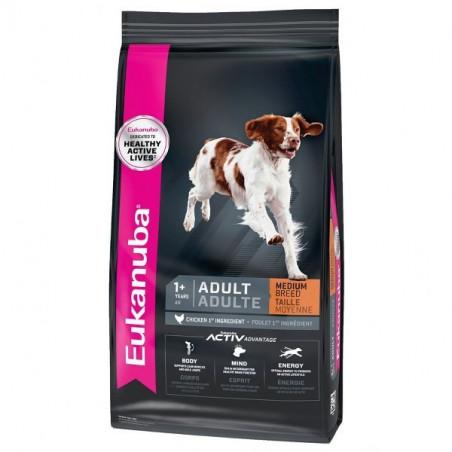 Eukanuba chien moyenne race