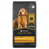 Pro Plan chien sénior 7+ bouchées poulet et riz