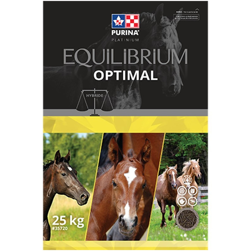 Moulée equilibrium Optimal Moulée equilibrium Optimal