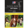 Moulée equilibrium Optimal