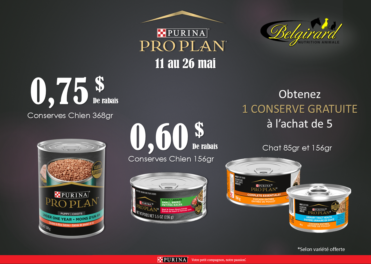Promo pro plan