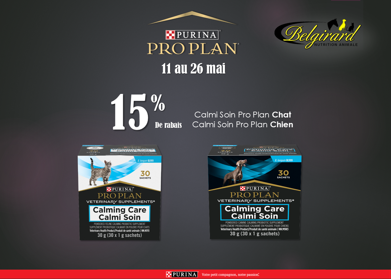 Promo pro plan