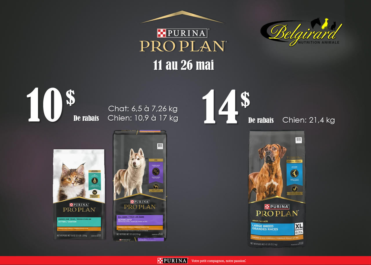 Promo RC