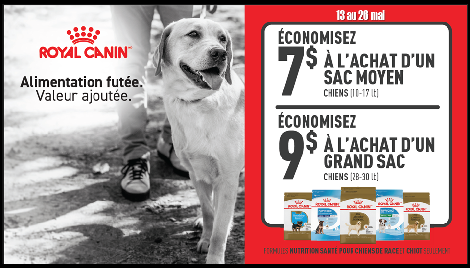 Promo Royal canin